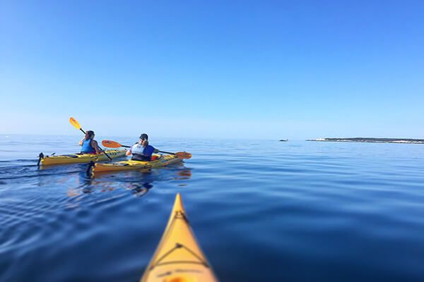 Halifax Kayak and Hike Tour Experience Gift
